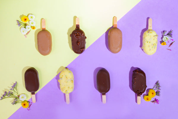 Mini Ice Cream Bars (Pack of 4)