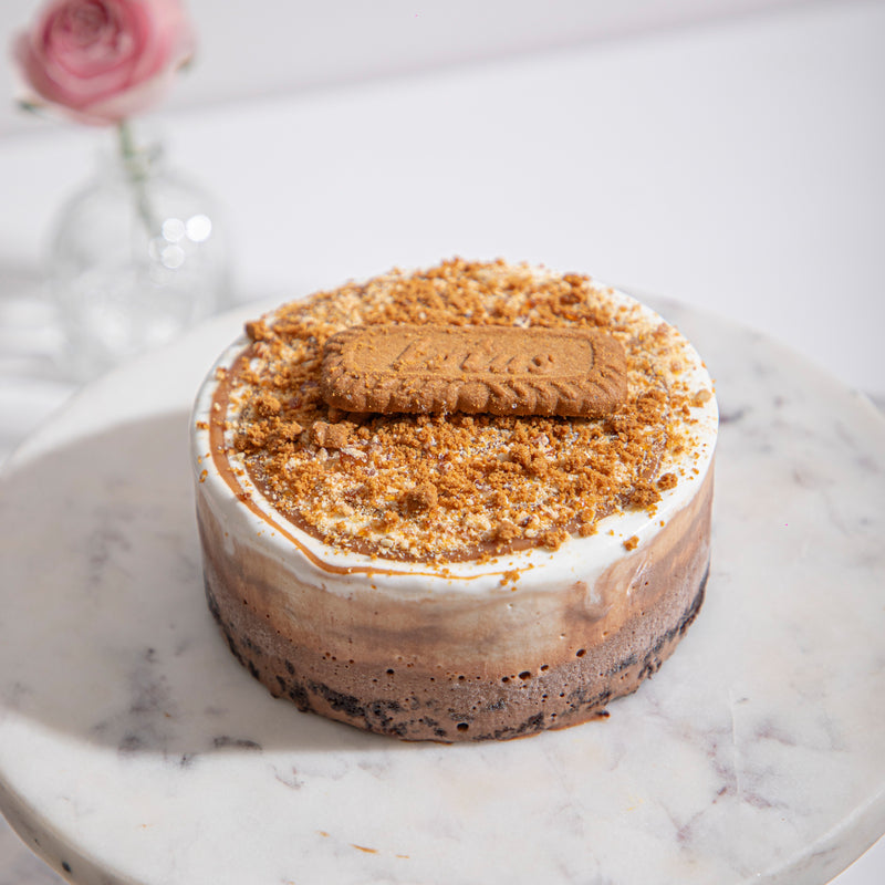 Milk Chocolate, Vanilla and Lotus Biscoff Ice Cream Cake