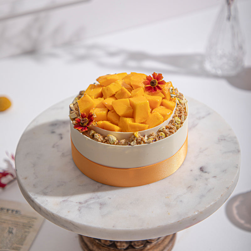 Mango Vanilla Entremet