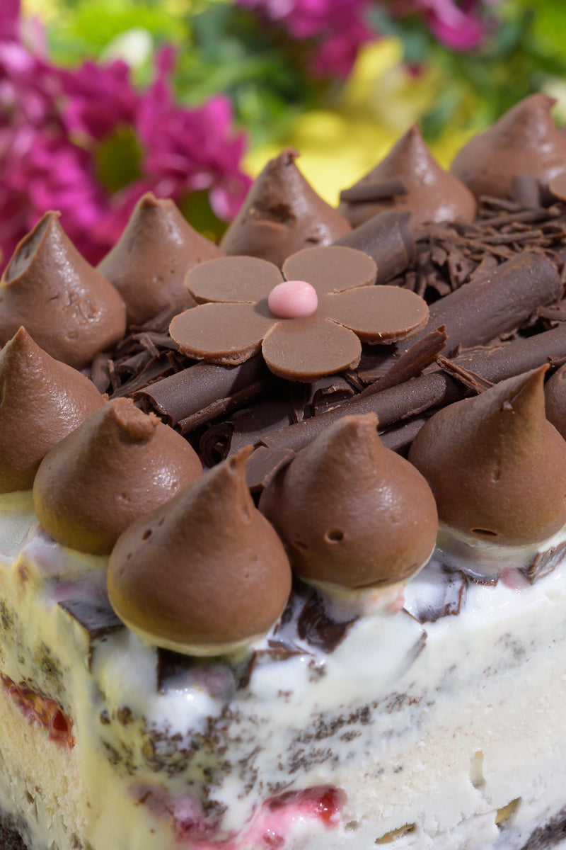 Vanilla, Raspberry & Dark Chocolate Chunk Ice Cream Cake