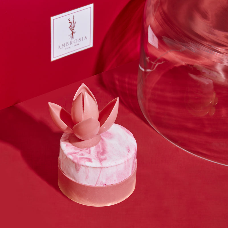 STRAWBERRY CUSTARD ENTREMET
