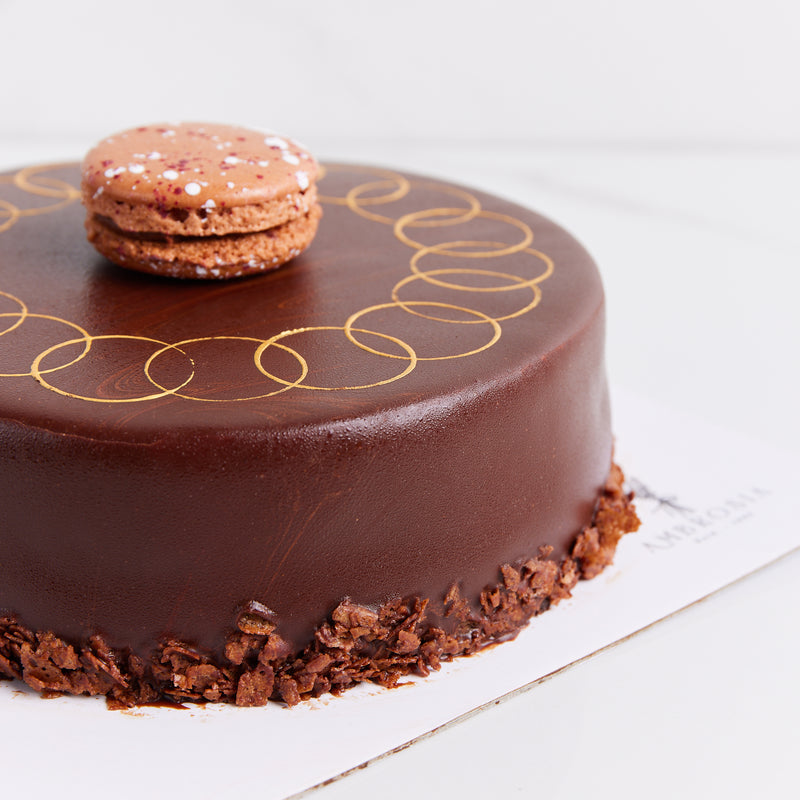 Belgian Chocolate & Hazelnut Fudge Cake