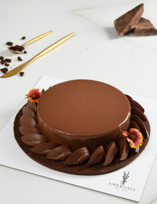 Intense chocolate Entremet